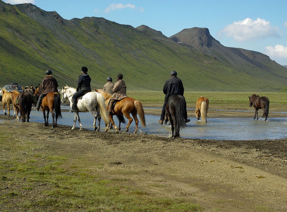 Best places  and horseback riding tours in Iceland