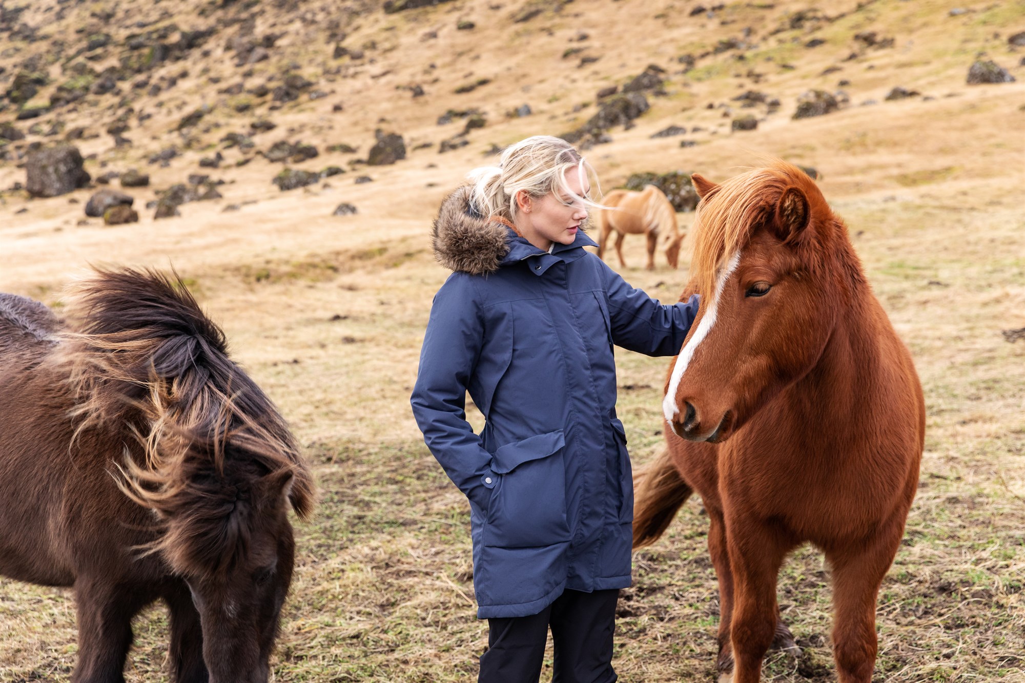 IcelandCover - Renta de ropa outdoor en Reykjavik