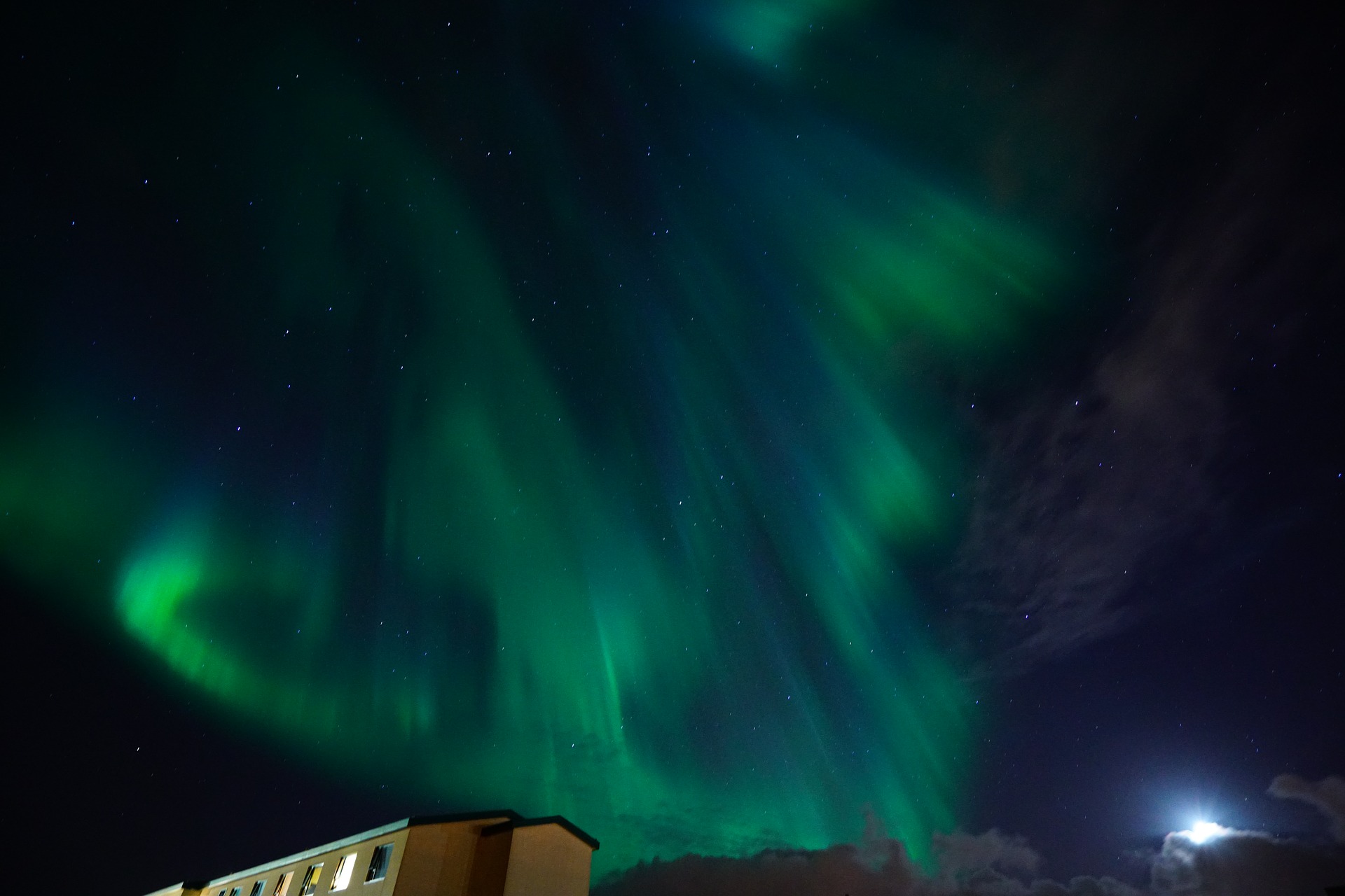Auroras in Iceland, green and a drak sky