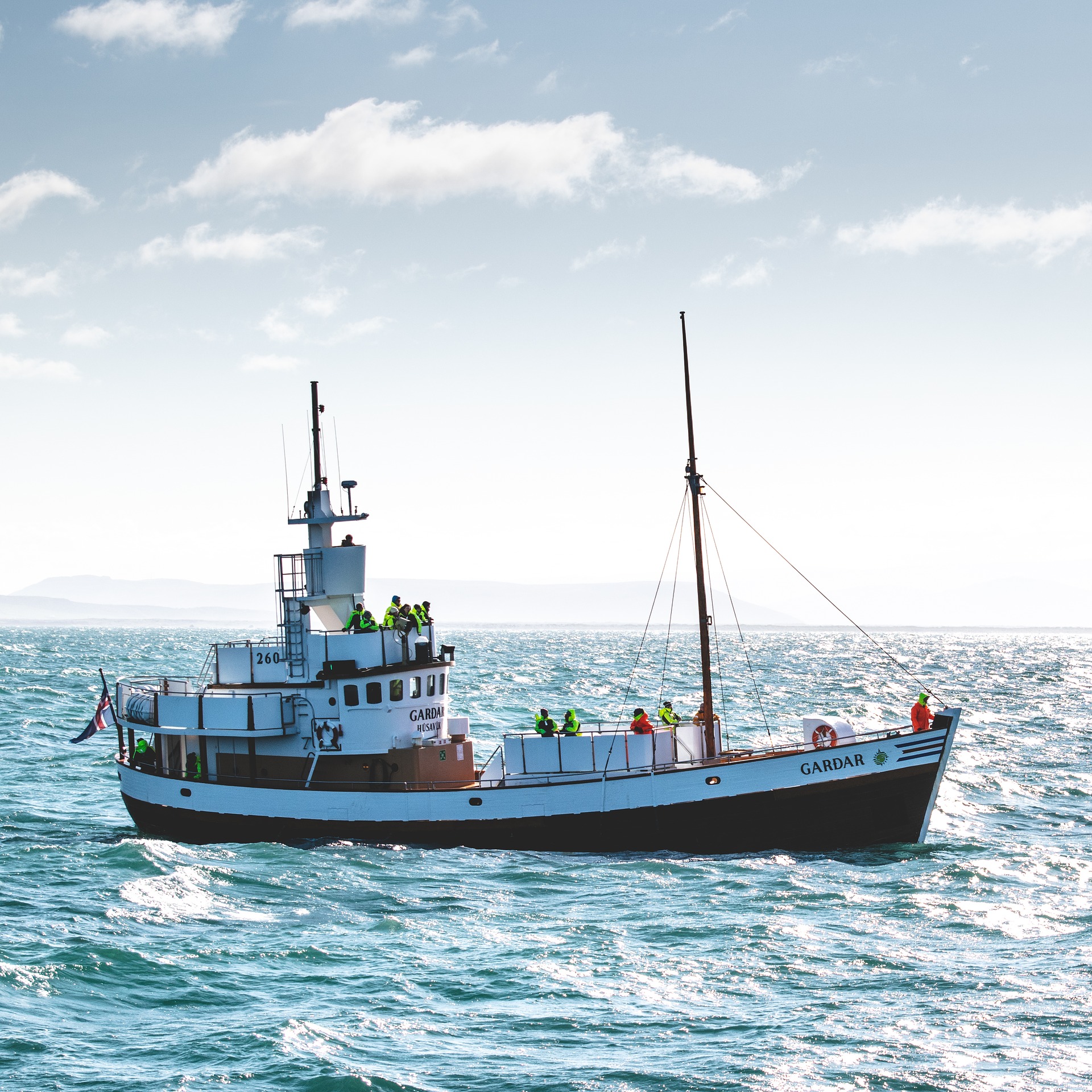 whale watching boat in iceland with people on board