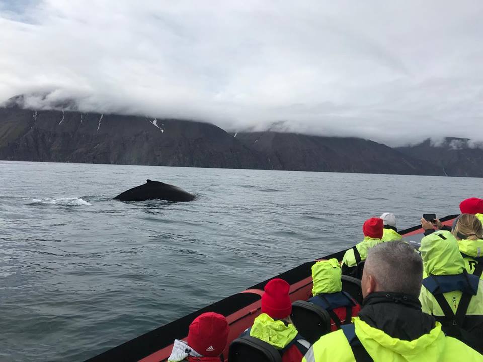 Húsavík Adventures