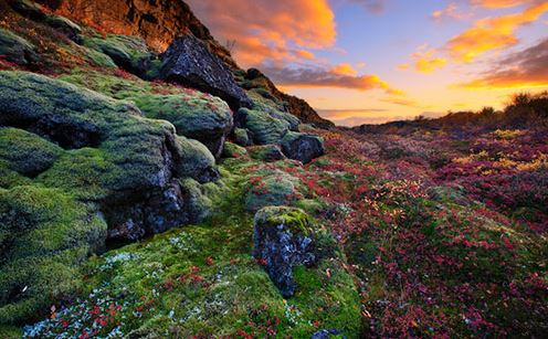 Temporadas para visitar Islandia