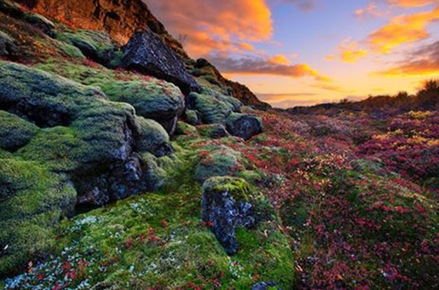 Temporadas para visitar Islandia