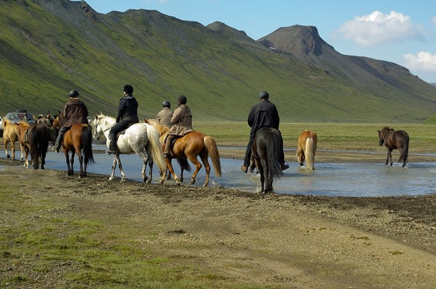 Best places  and horseback riding tours in Iceland