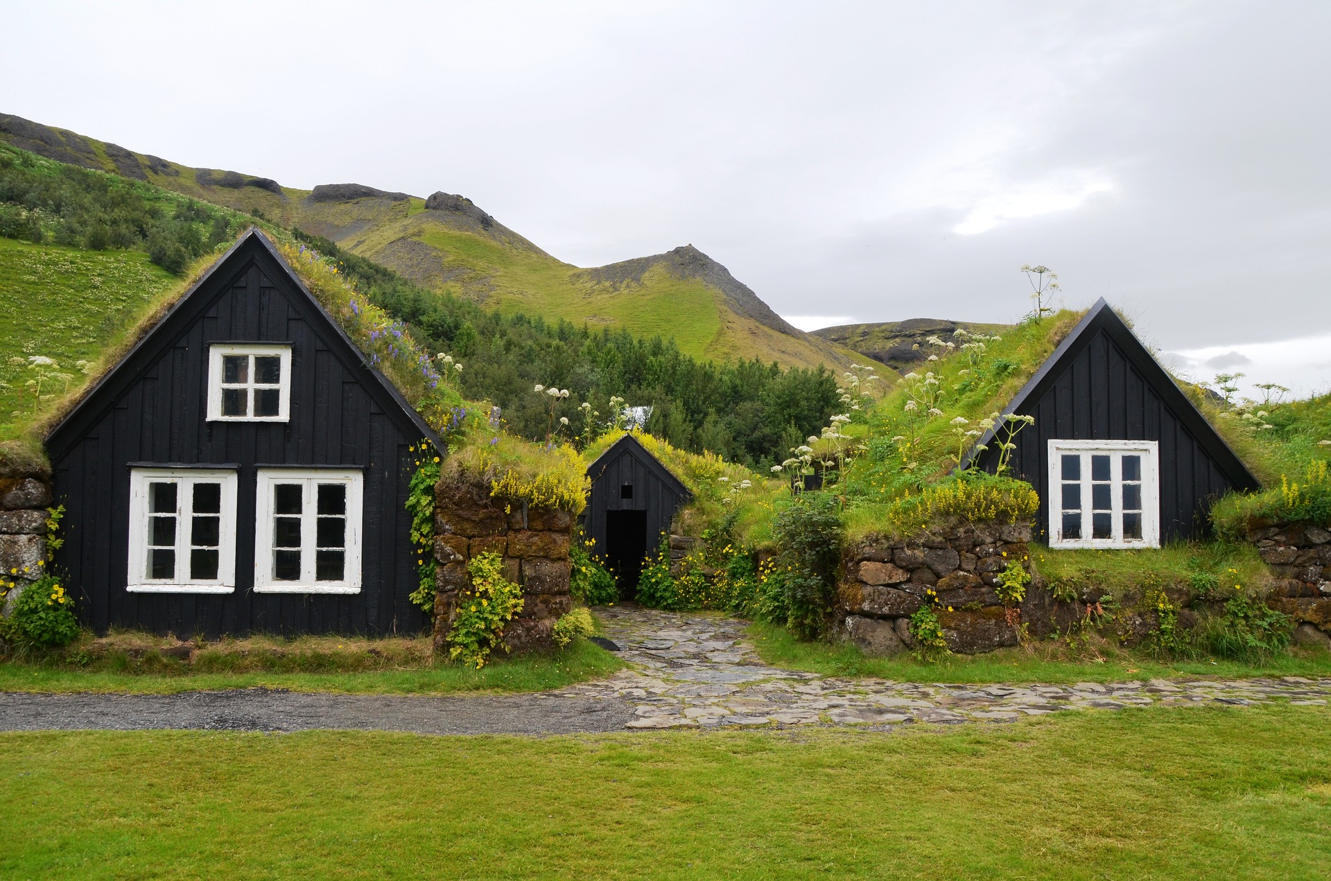icelandic traditional houses with green grass rooftops, white windows, grass, clouds