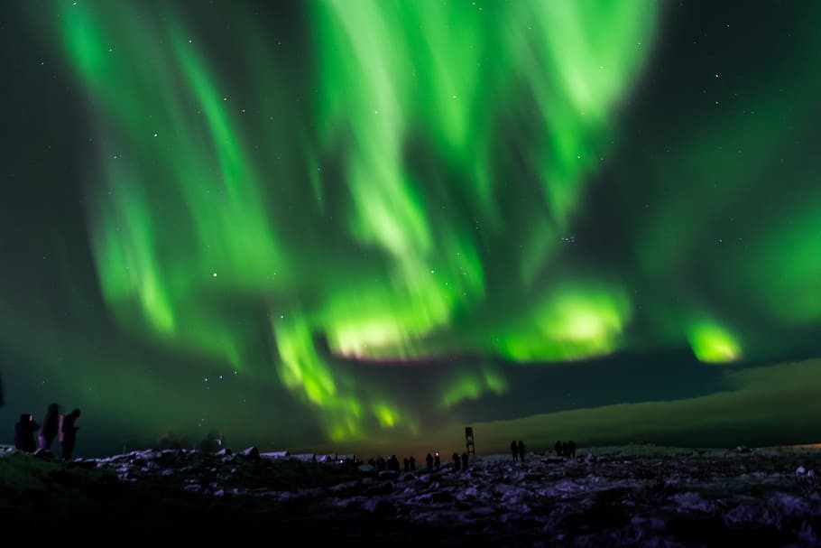 people observing green northern lights in the sky near reykjavik